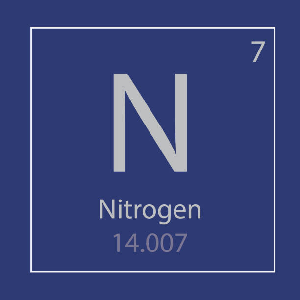 Nitrogen in Fertilizer | How does Nitrogen boost the Agricultural Industry?